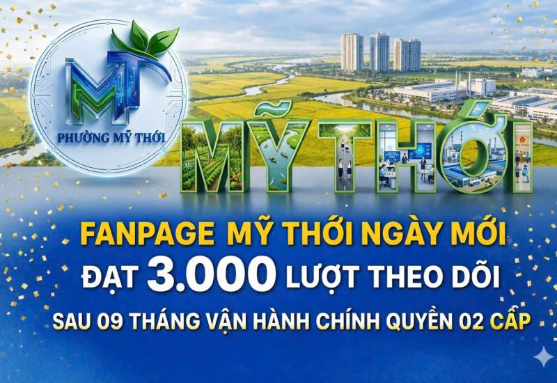 HÌNH ẢNH MINH HOẠ