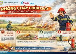 Hình ảnh minh họa